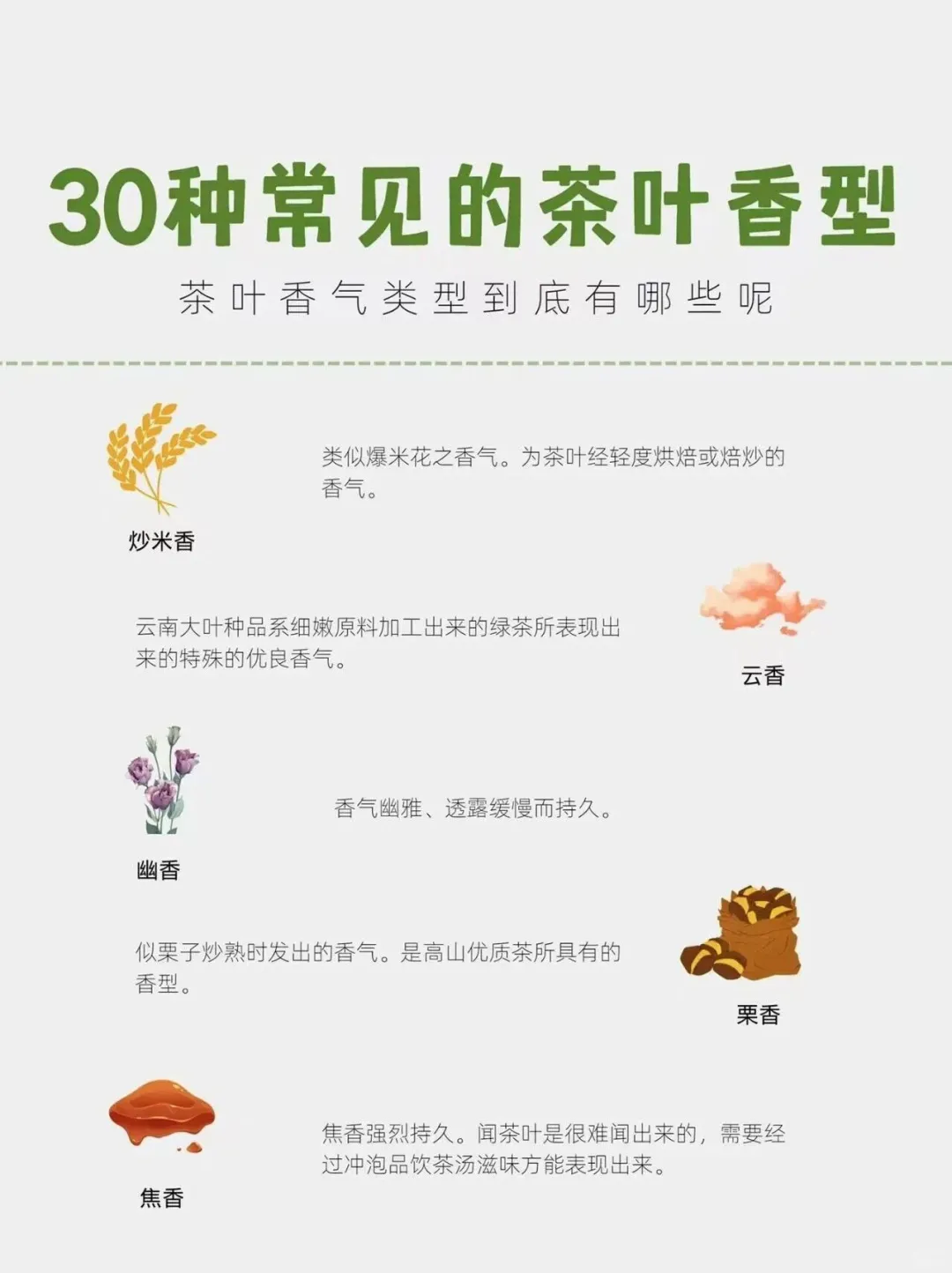 茶知识｜30种常见的茶叶香型，你知道多少