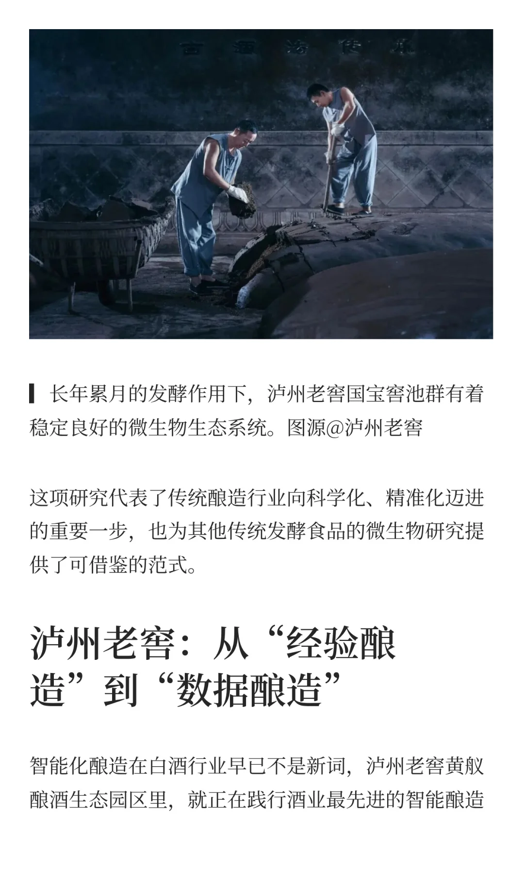 从窖泥生态到AI酿造，科技如何重塑发酵？