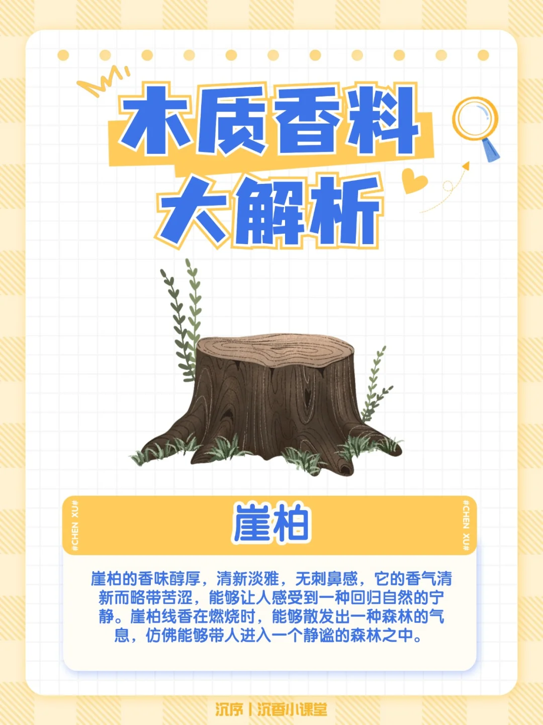 木质香料指南：常见的木质香你知道几种？