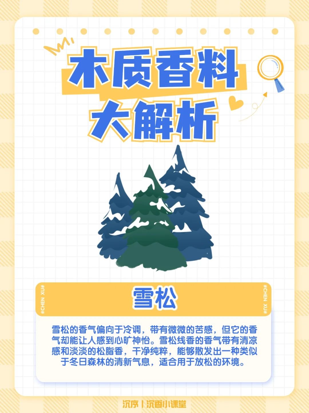 木质香料指南：常见的木质香你知道几种？