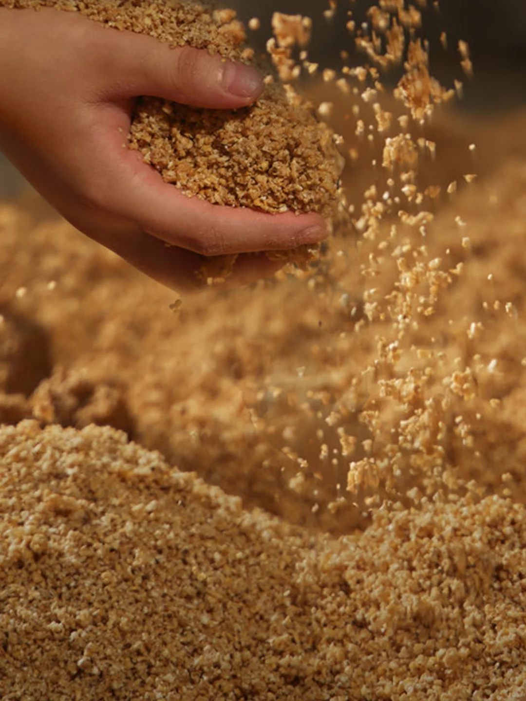 歇息的间隙，和酒厂制曲总工聊聊天