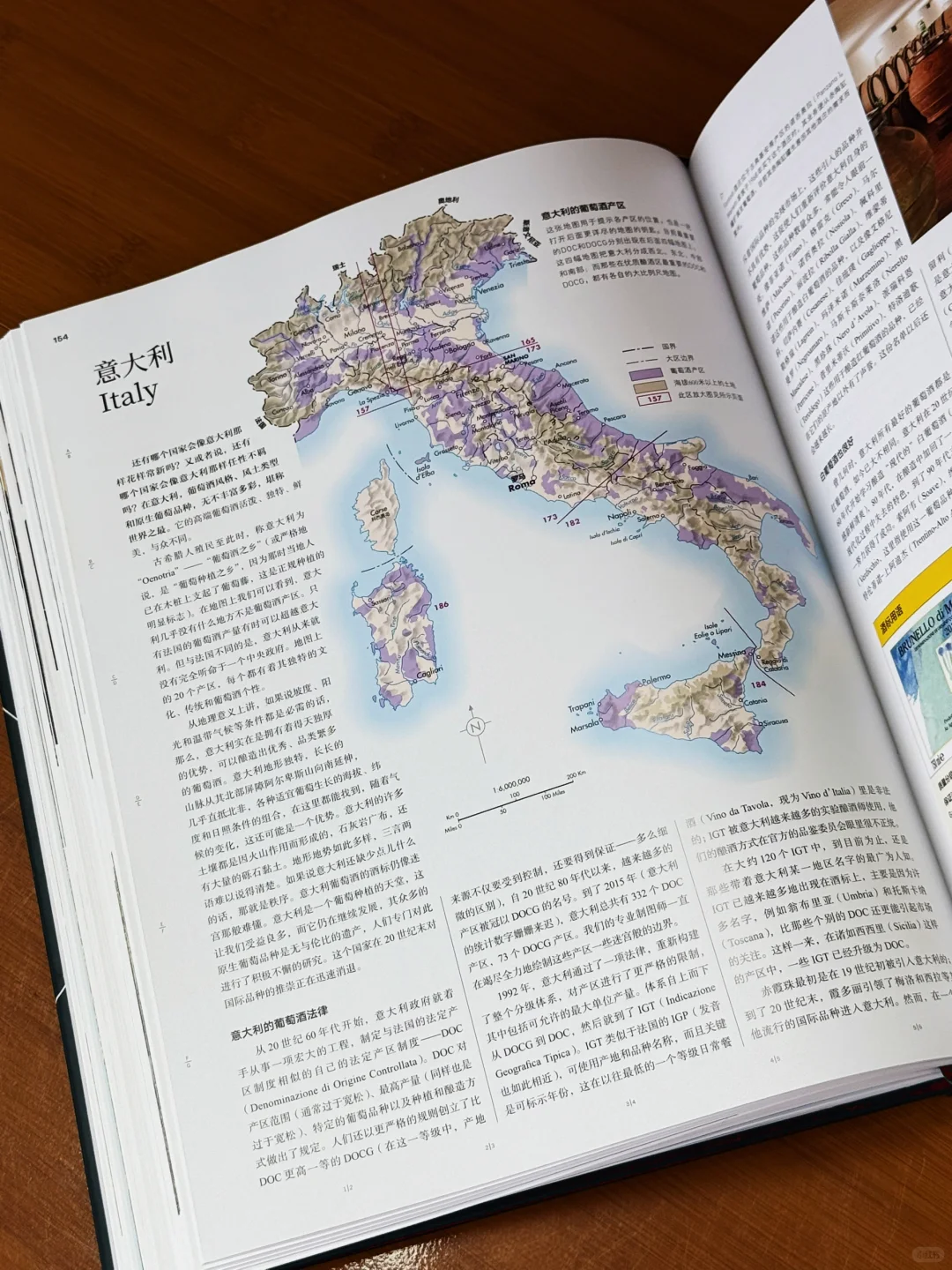 看完这本书，你也能成为半个葡萄酒专家‼️