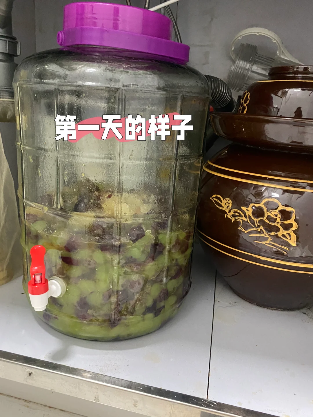自酿葡萄酒第五天