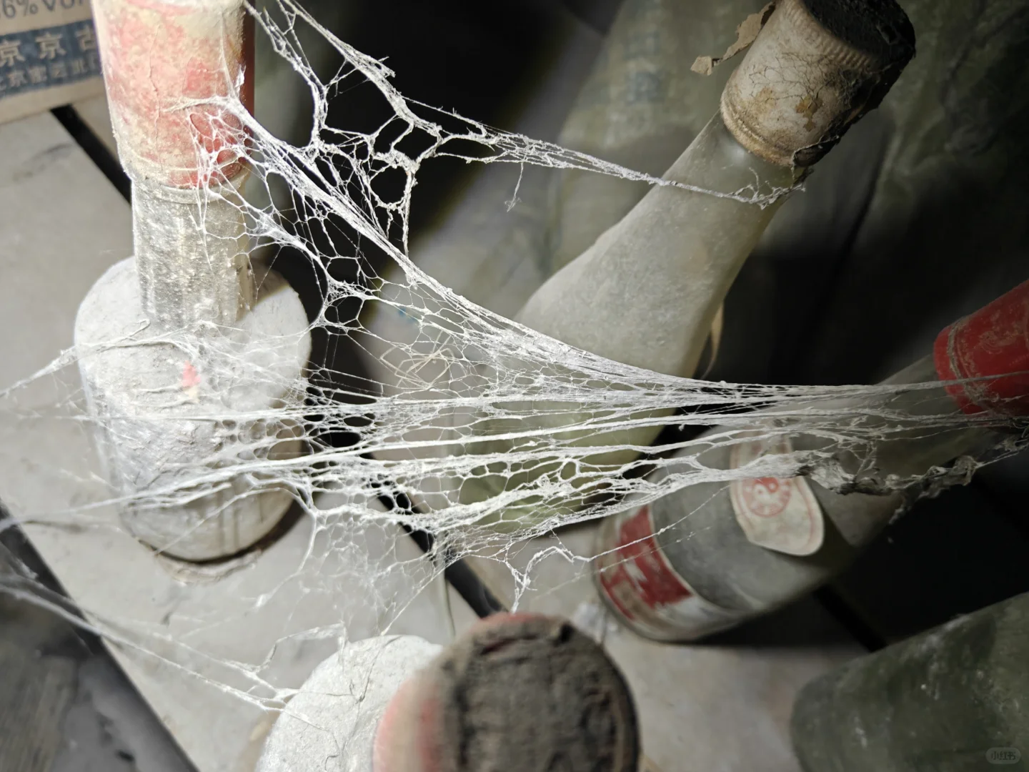 过年回家，仓库的酒我惊呆了！