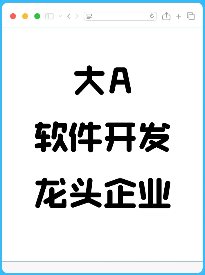 大A软件开发行业龙头