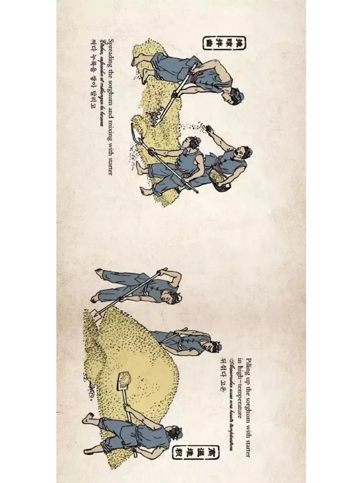 一张图带你领略茅台酒的酿造工艺！