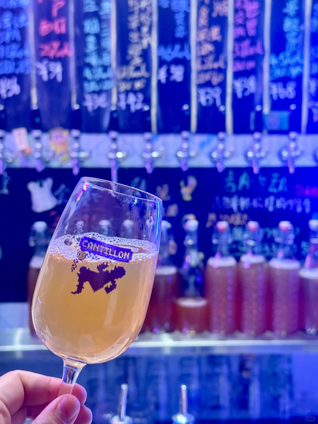 谁喝到了我的秋牡丹康普茶