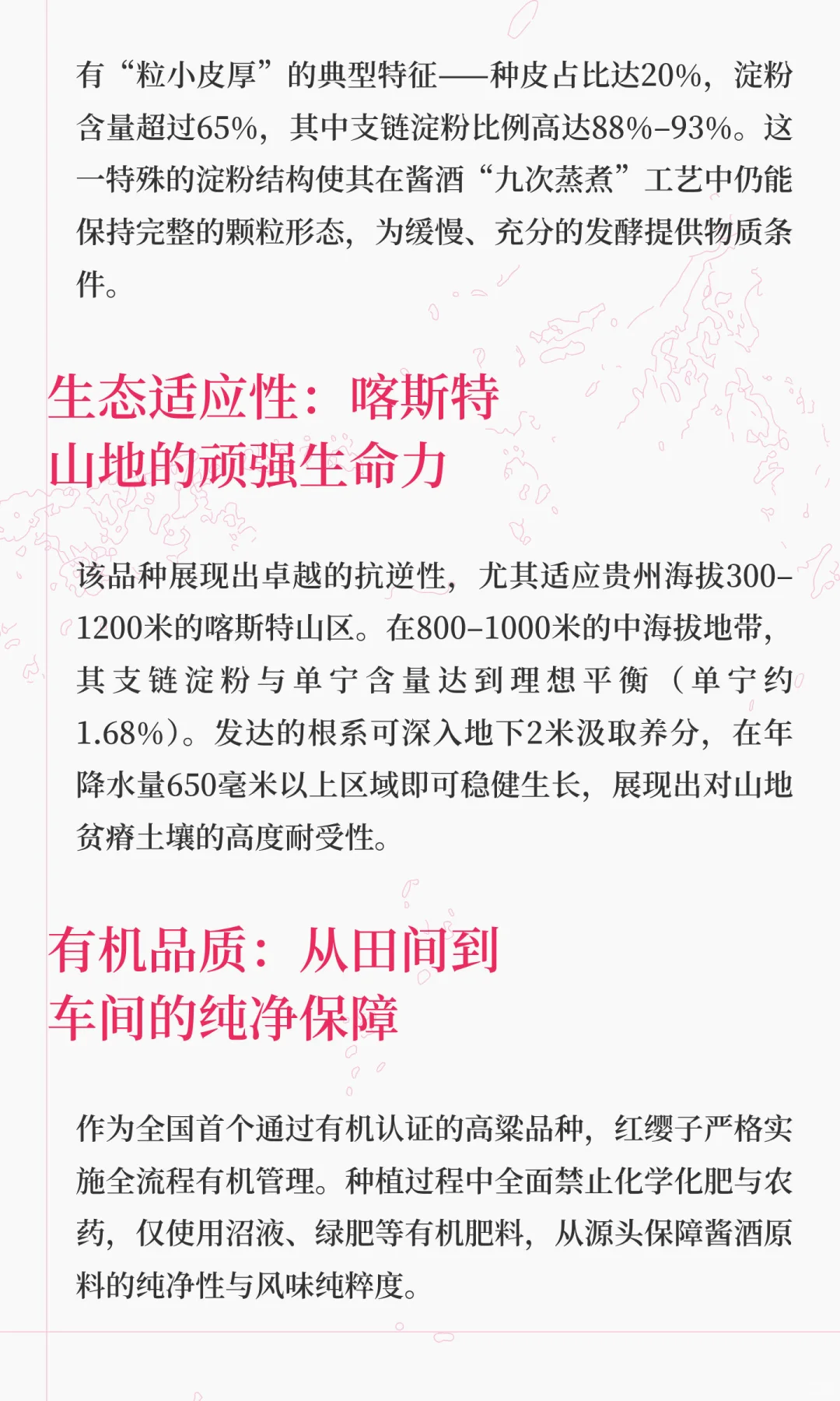 酱酒千亿风味的核心密码，就藏在这粒“红珠