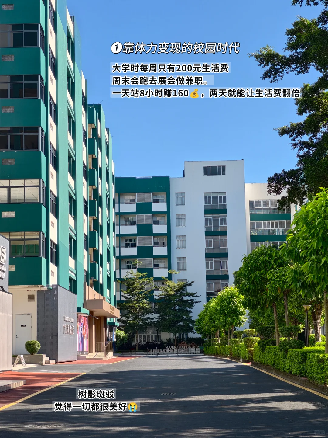 看到这些信息差后，我的搞钱思维开始转变