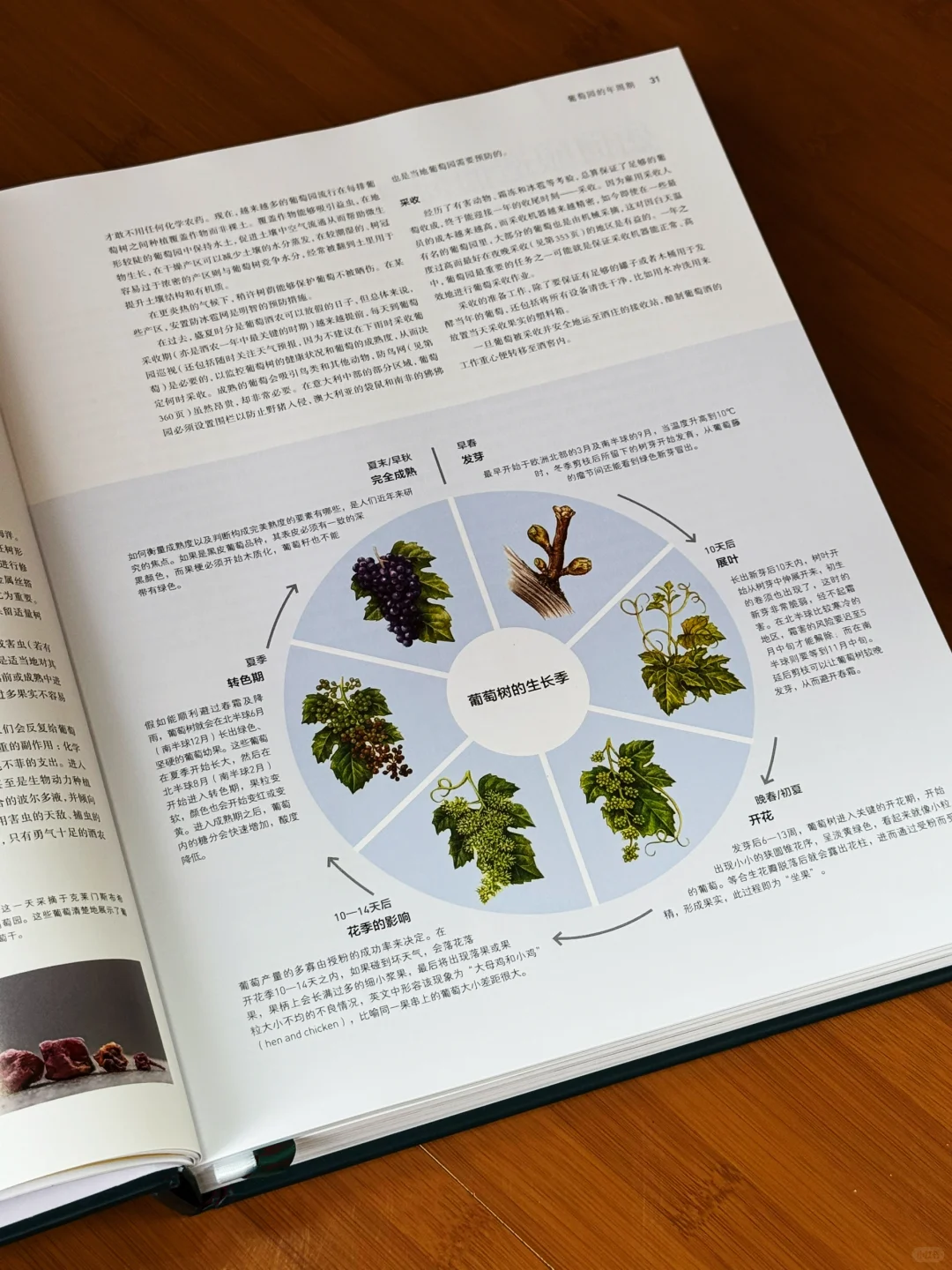看完这本书，你也能成为半个葡萄酒专家‼️