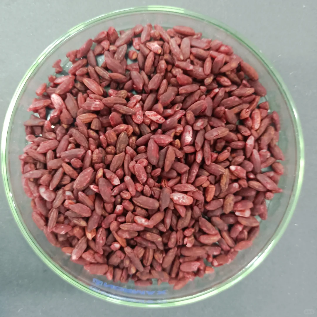 红曲菌固态发酵，忙碌的一天天