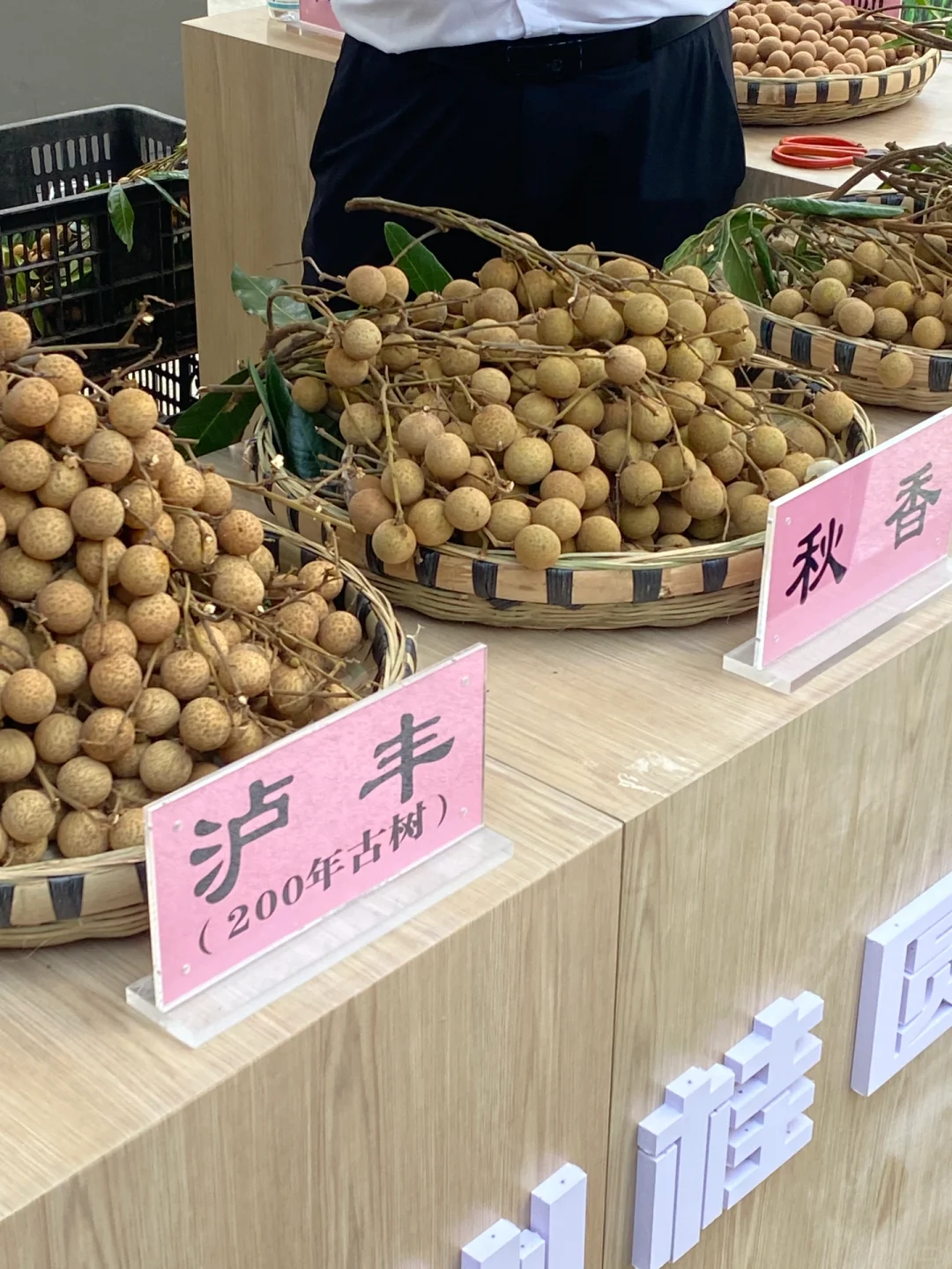 泸州｜第二届地标展会好吃的也太多了吧！！！