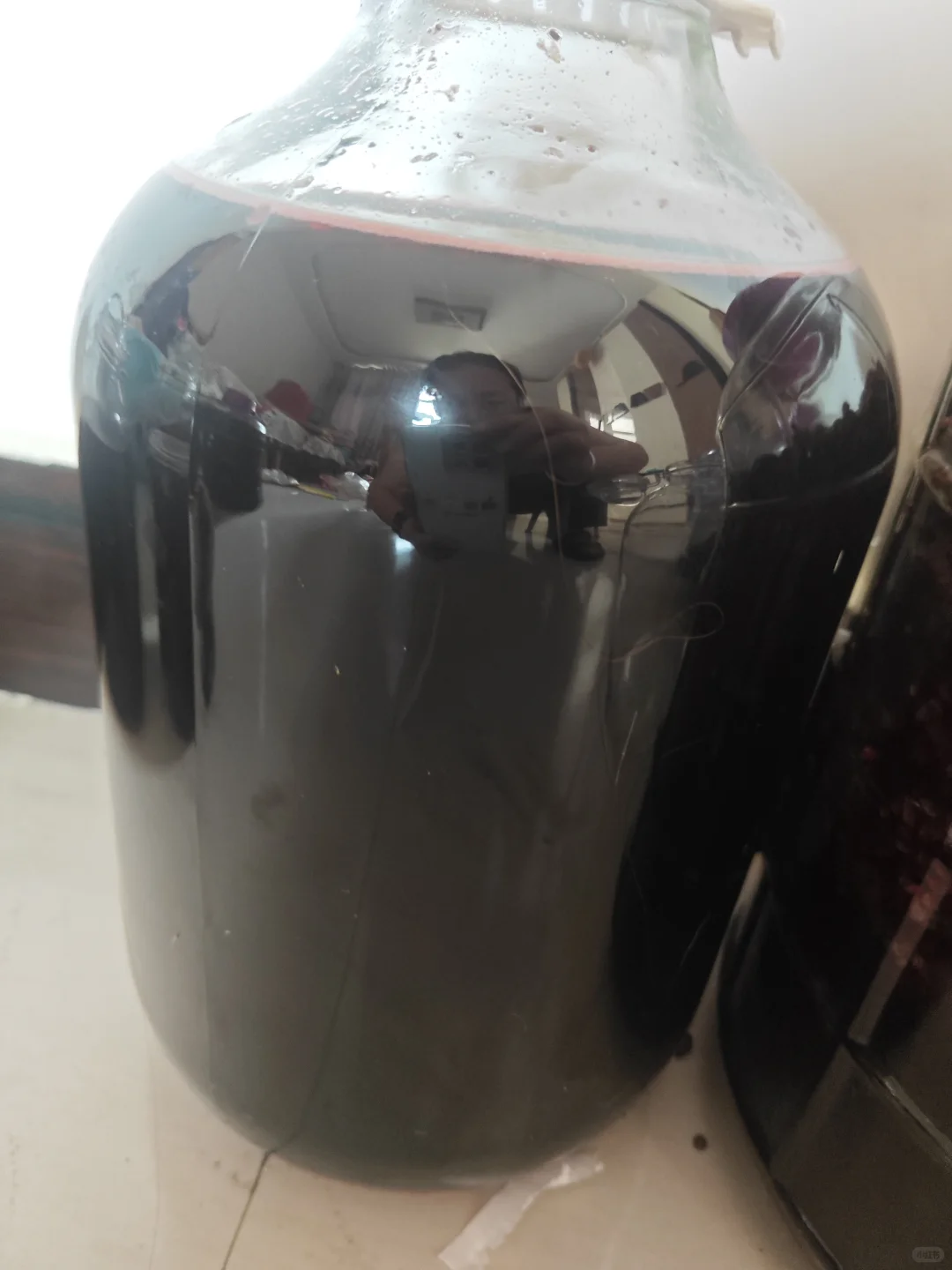 自酿野葡萄酒第十二天 过滤了一半