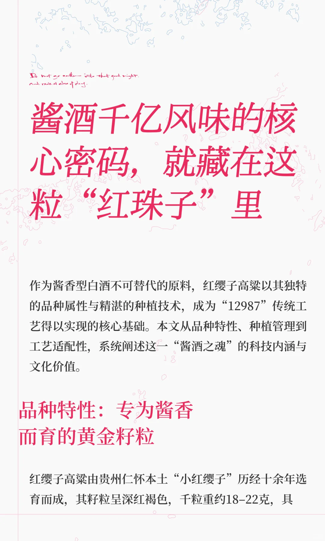 酱酒千亿风味的核心密码，就藏在这粒“红珠