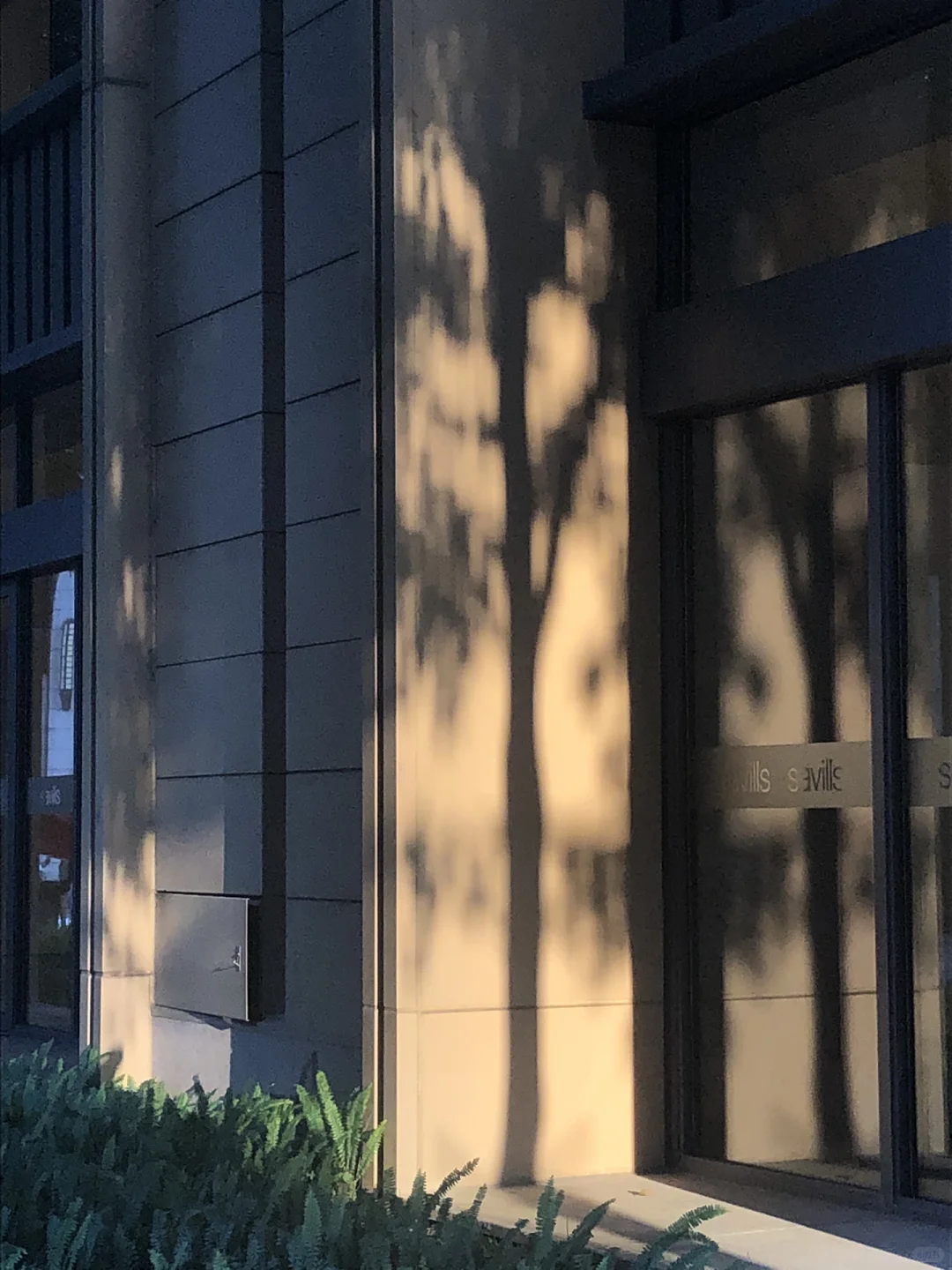 金九银十找工作建议去：新兴行业外企