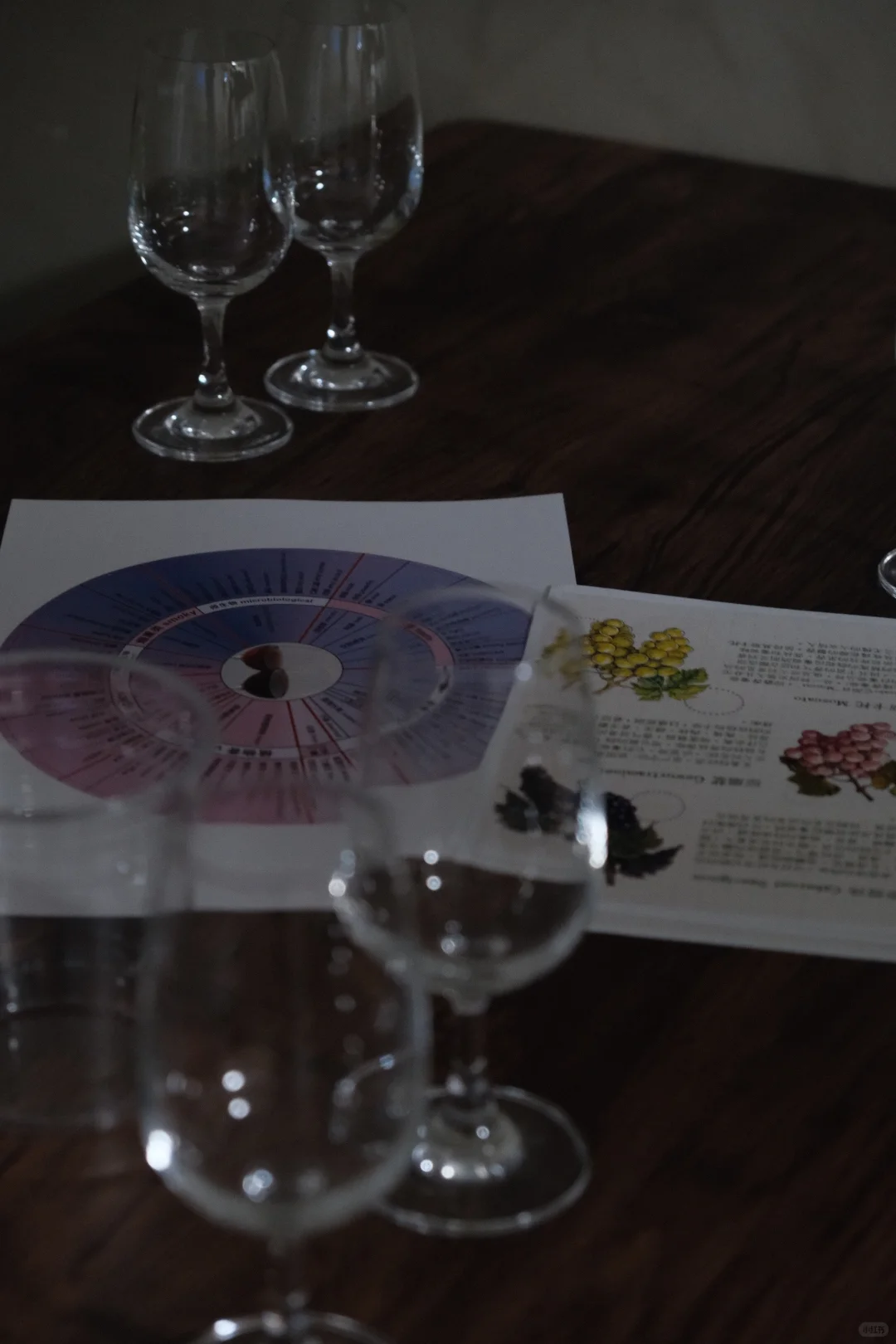 青岛线下活动｜葡萄酒入门 实用装杯指南