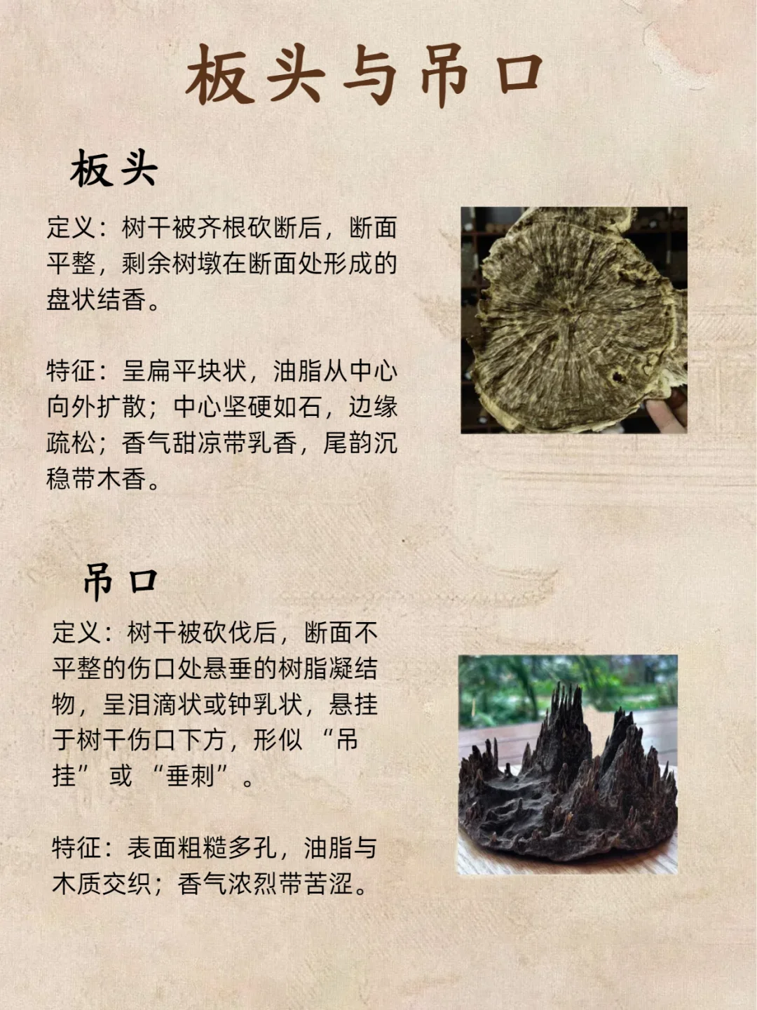 别瞎买沉香‼️结香 3 类记好，进阶老玩家