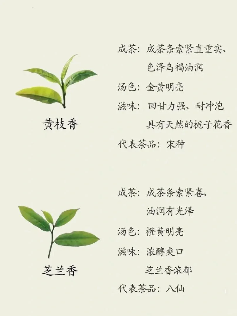 茶知识|凤凰单丛茶十大香型，6张图告诉你?