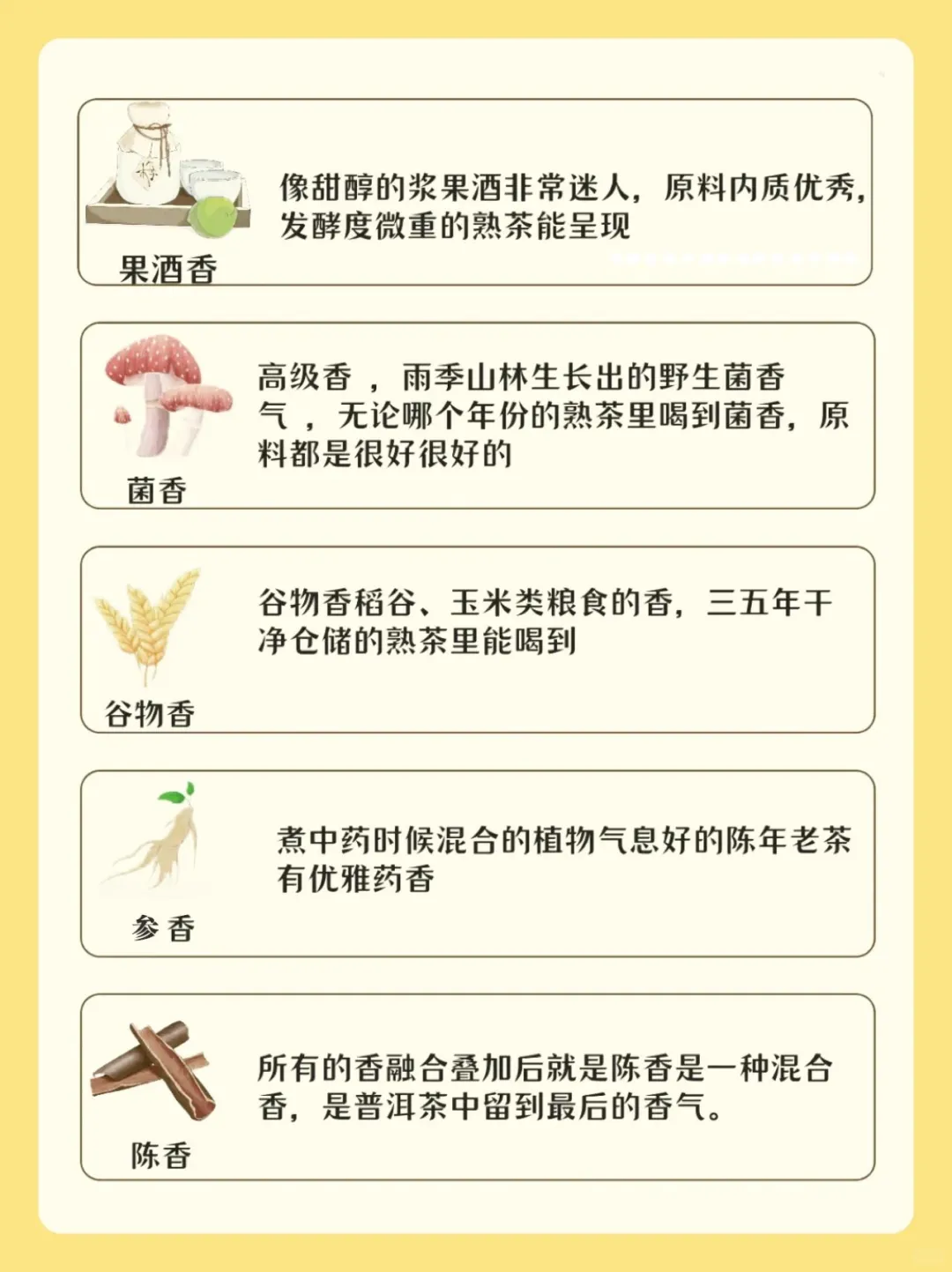 茶知识?普洱熟茶的香型