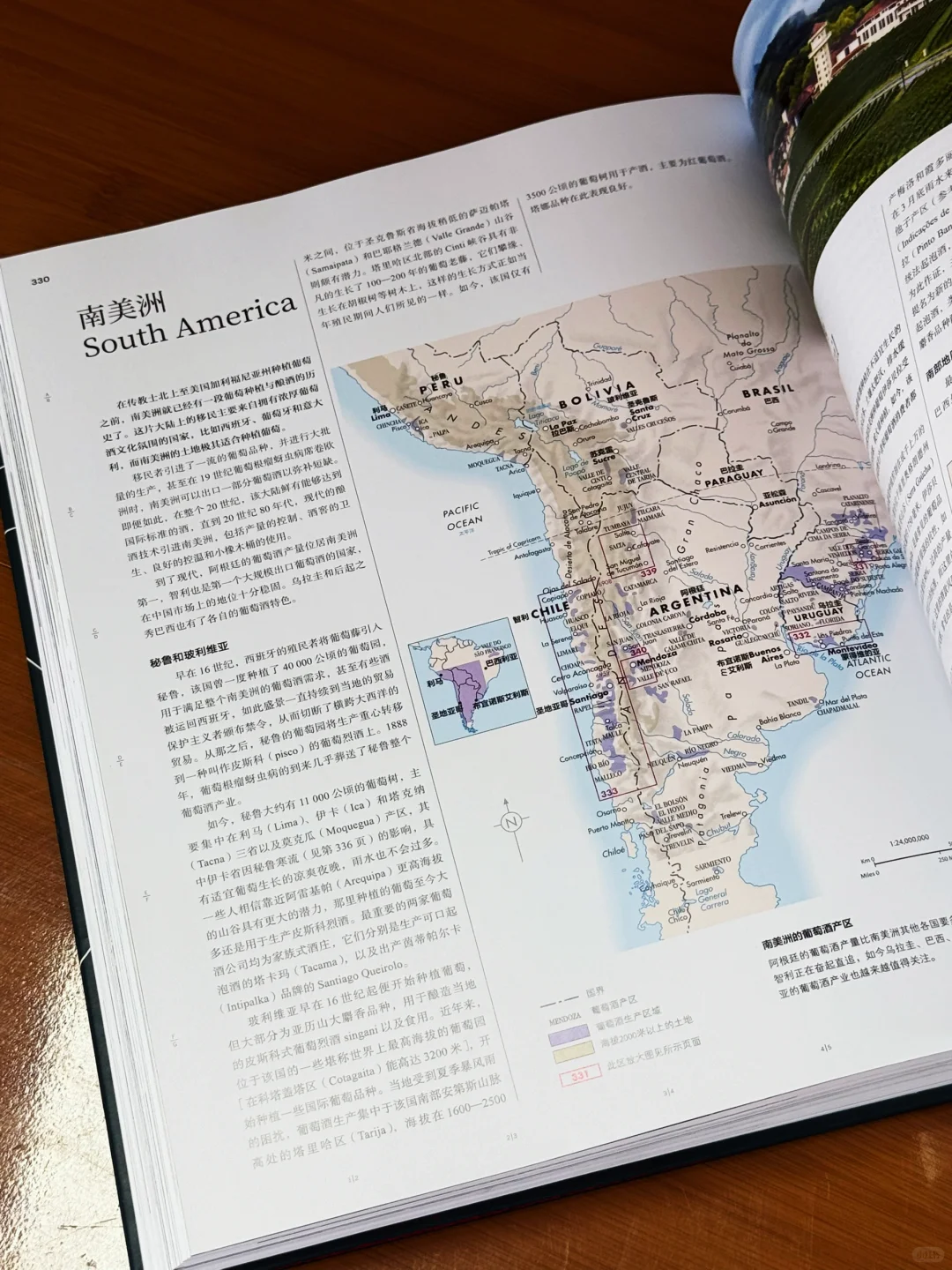 看完这本书，你也能成为半个葡萄酒专家‼️