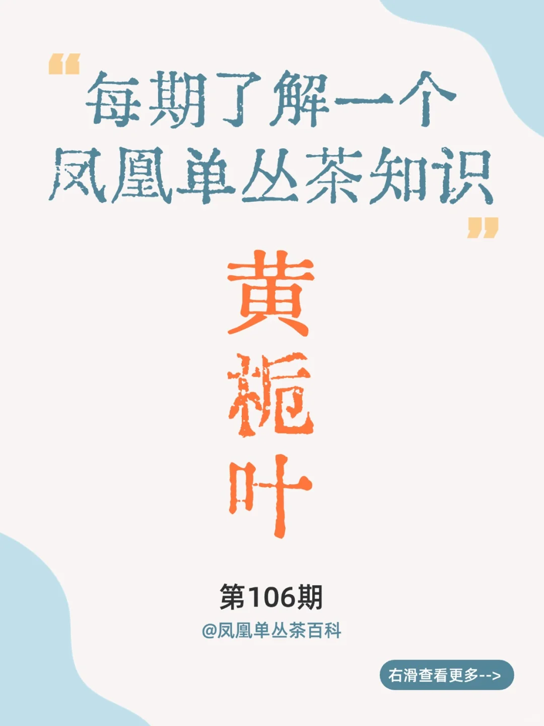 茶知识|黄栀叶单丛，黄栀香型 200多年树龄