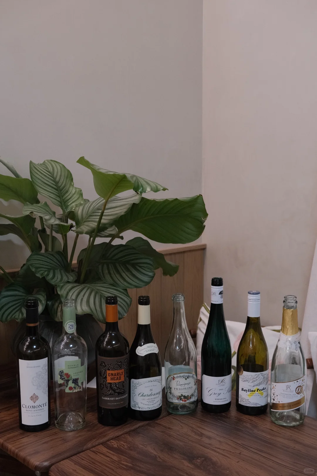 青岛线下活动｜葡萄酒入门 实用装杯指南