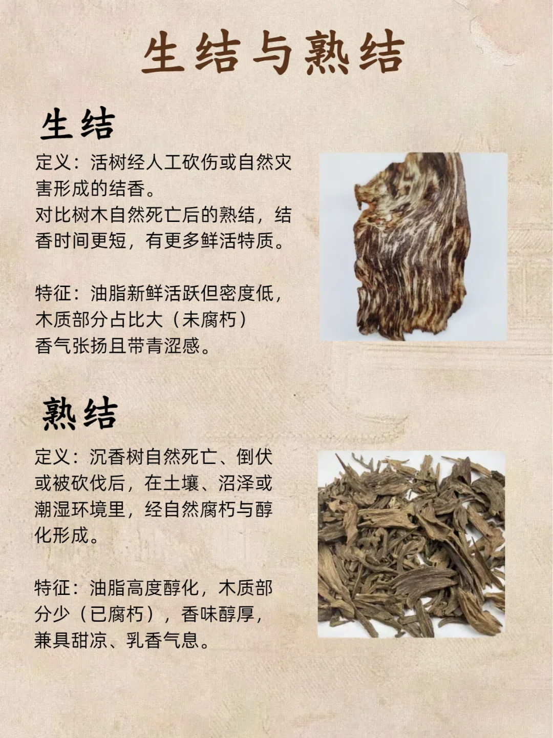 别瞎买沉香‼️结香 3 类记好，进阶老玩家