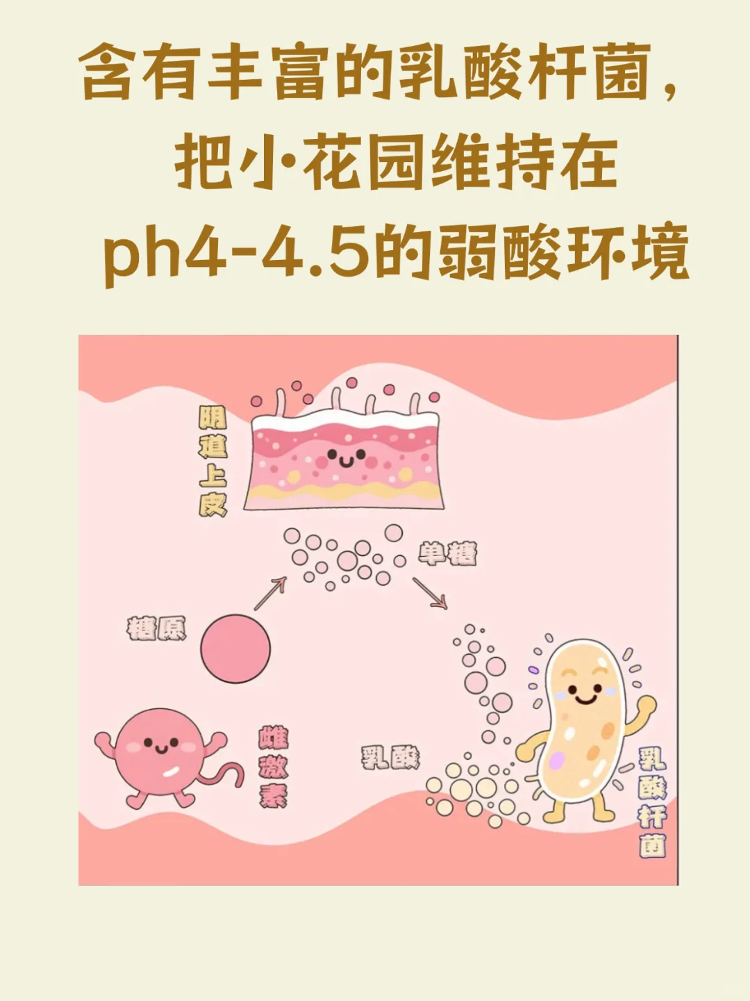 正常女生的小花园都是什么味道！！