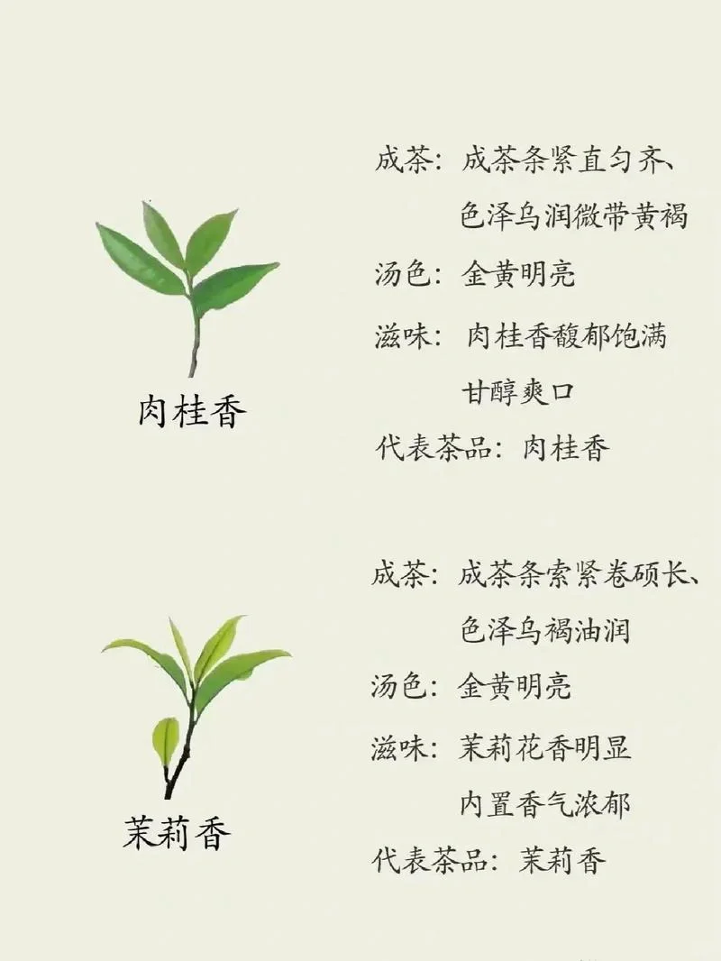茶知识|凤凰单丛茶十大香型，6张图告诉你?