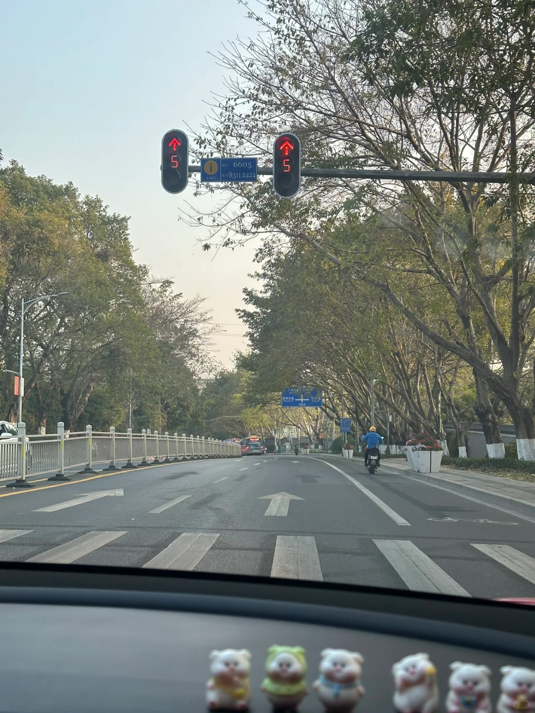 竹叶青黑玻竹酒 | 女孩子的第一杯白酒?