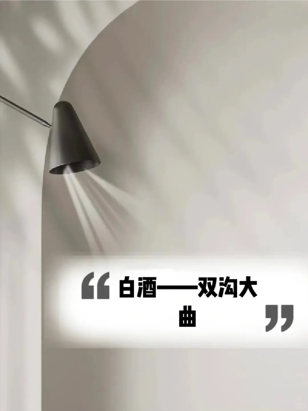 白酒之双沟大曲!了解后你就是高手!