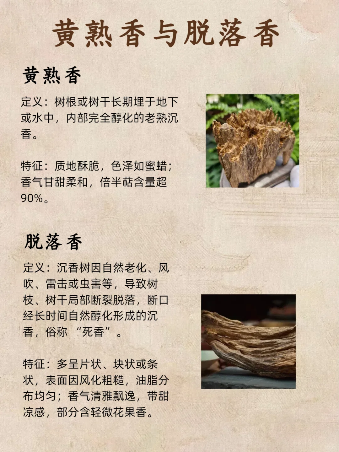 别瞎买沉香‼️结香 3 类记好，进阶老玩家