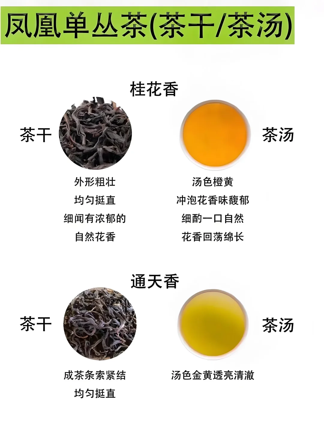 凤凰单丛9大经典香型简介