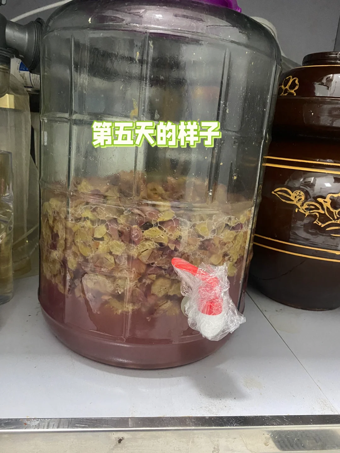 自酿葡萄酒第五天