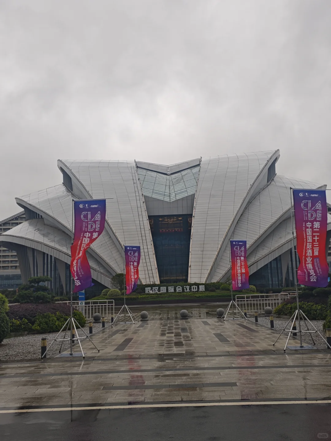 酒博会…好多酒???