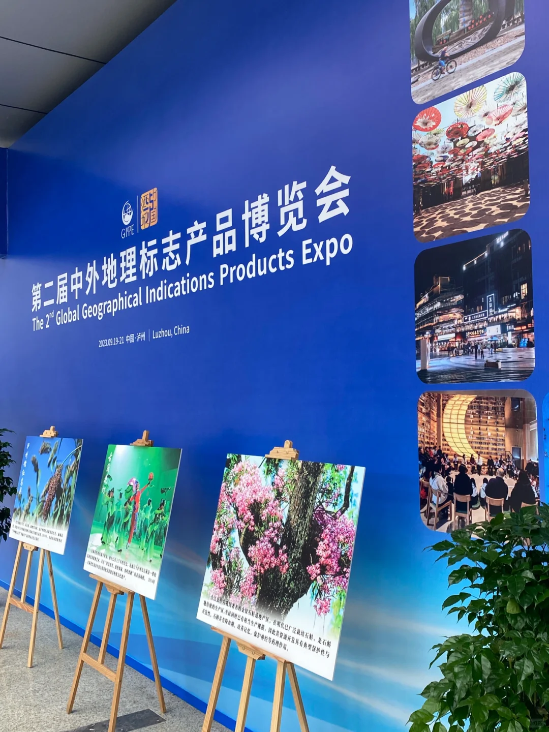 泸州｜第二届地标展会好吃的也太多了吧！！！