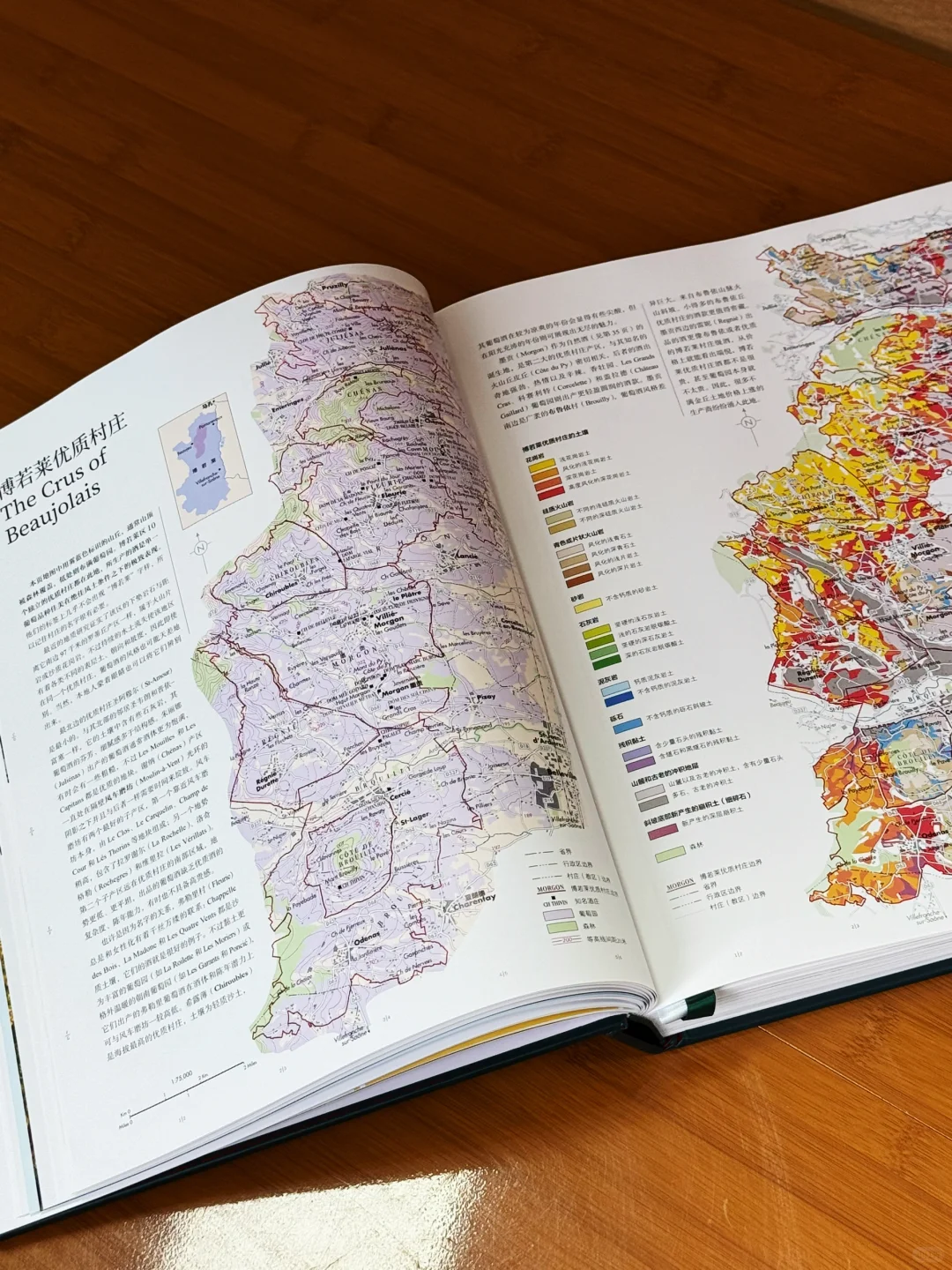 看完这本书，你也能成为半个葡萄酒专家‼️