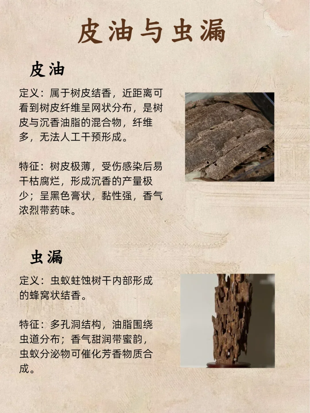 别瞎买沉香‼️结香 3 类记好，进阶老玩家