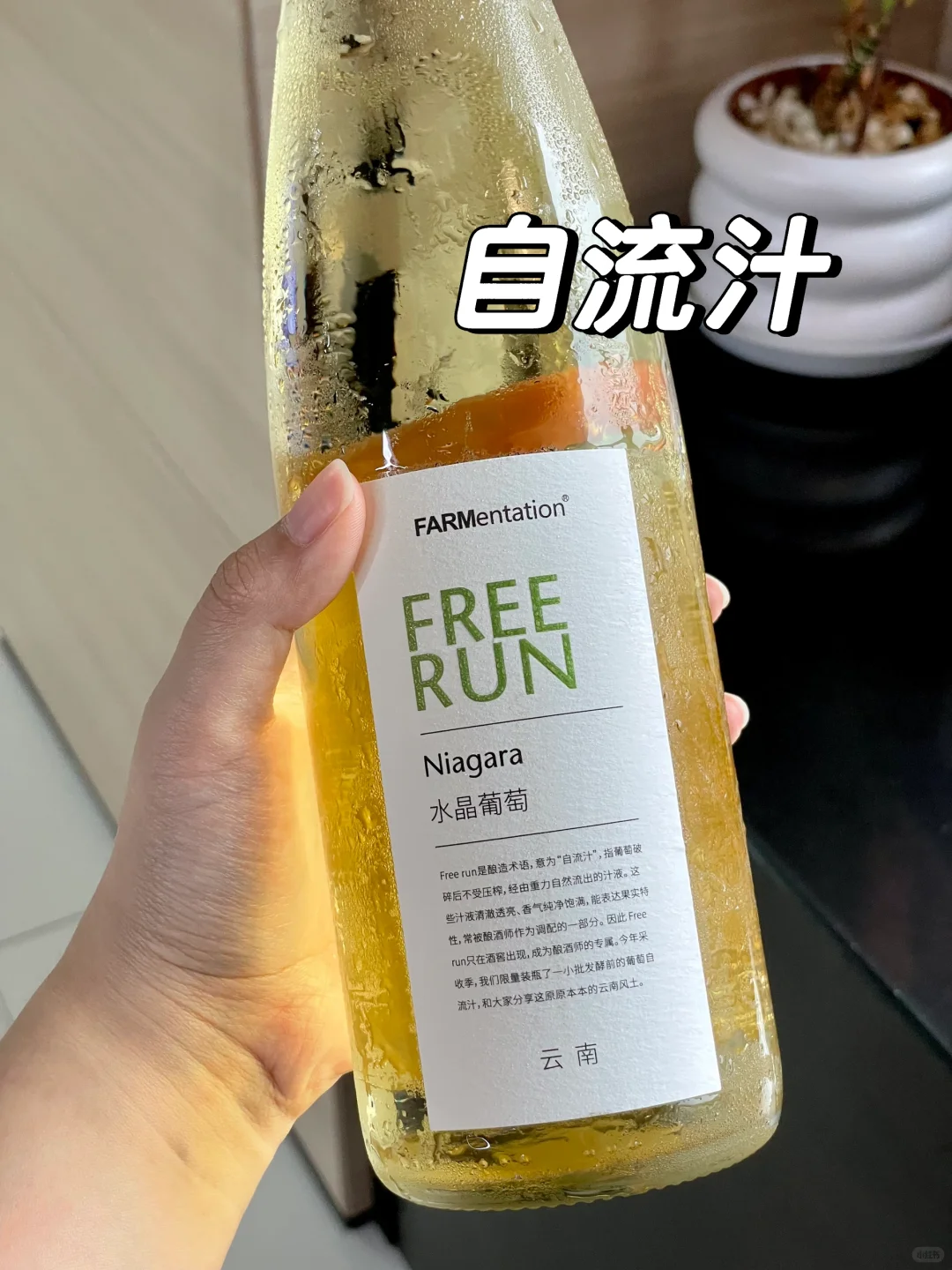 这几瓶0️⃣度的葡萄酒！！吊s了啊啊啊！！！