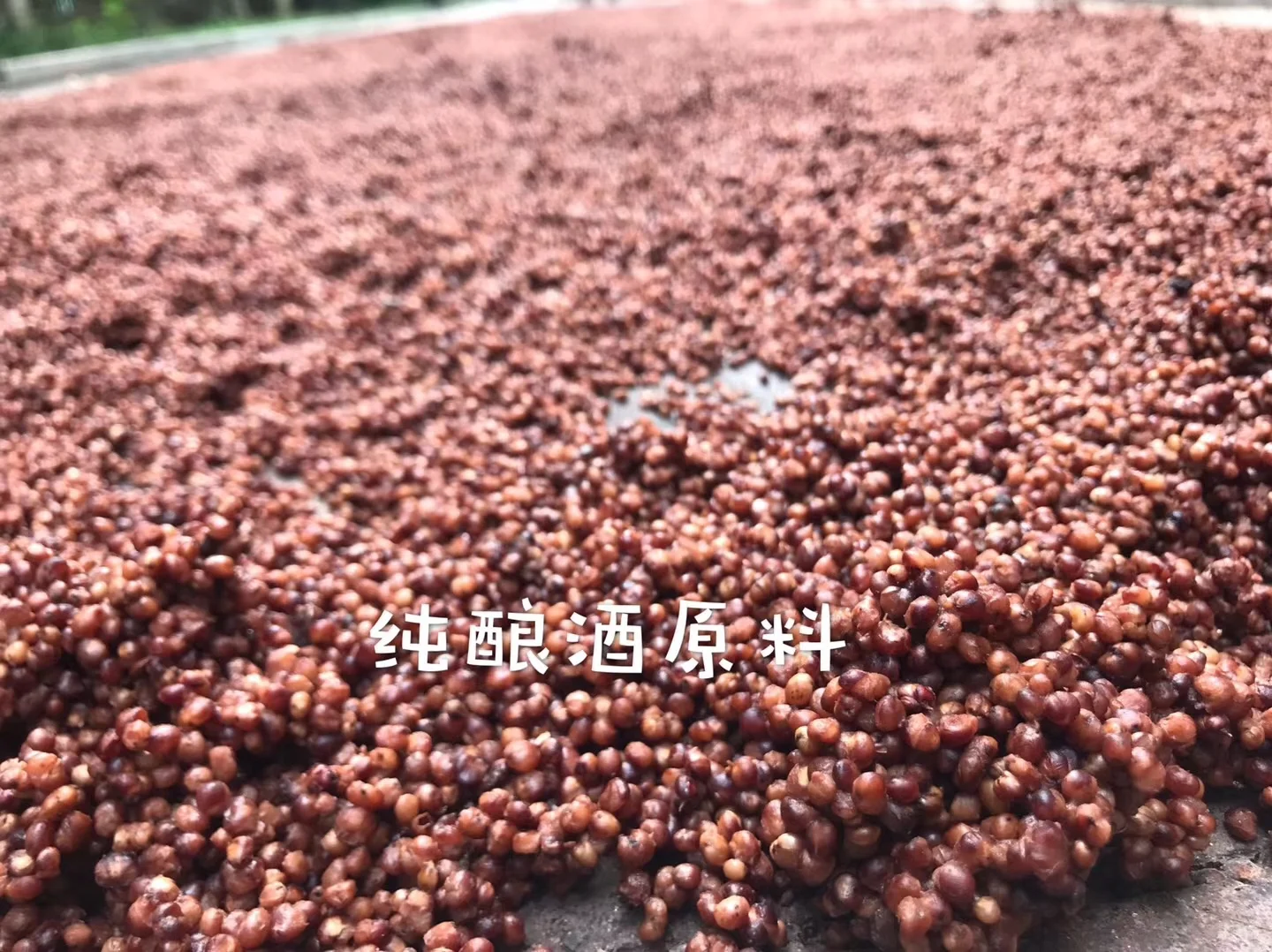 正宗土烧高粱酒，要的私