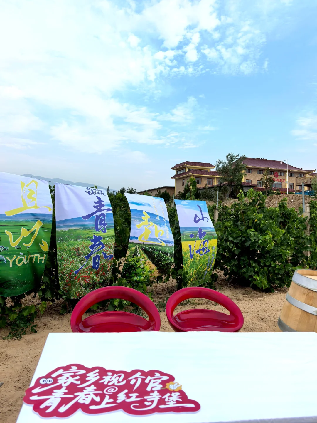 宁夏口粮红酒天花板 | 真酒！便宜！好喝！