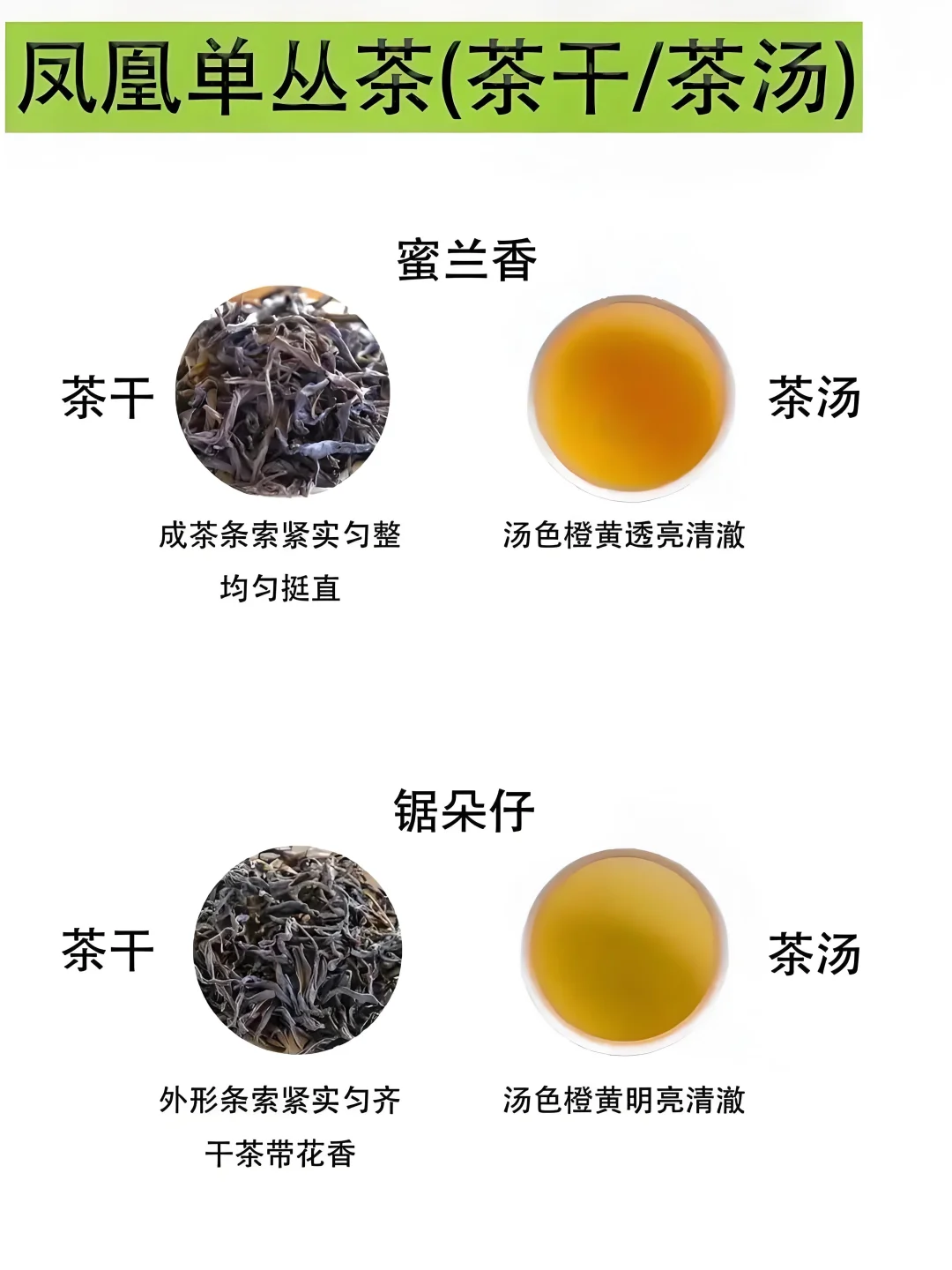 凤凰单丛9大经典香型简介