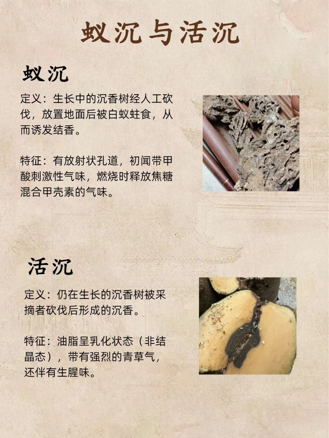 别瞎买沉香‼️结香 3 类记好，进阶老玩家