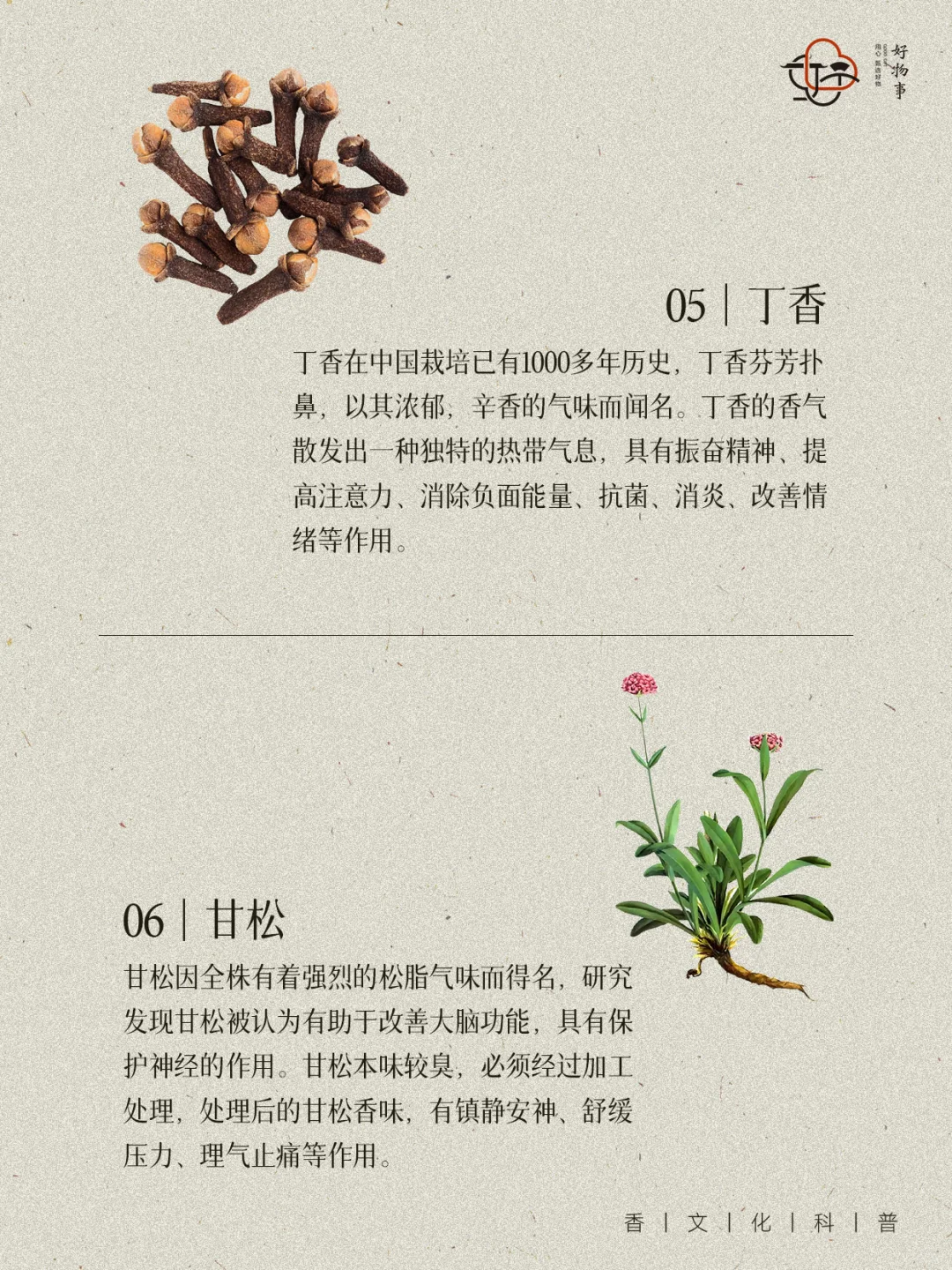 又骄傲了‼️9种属于中国人的香气密码