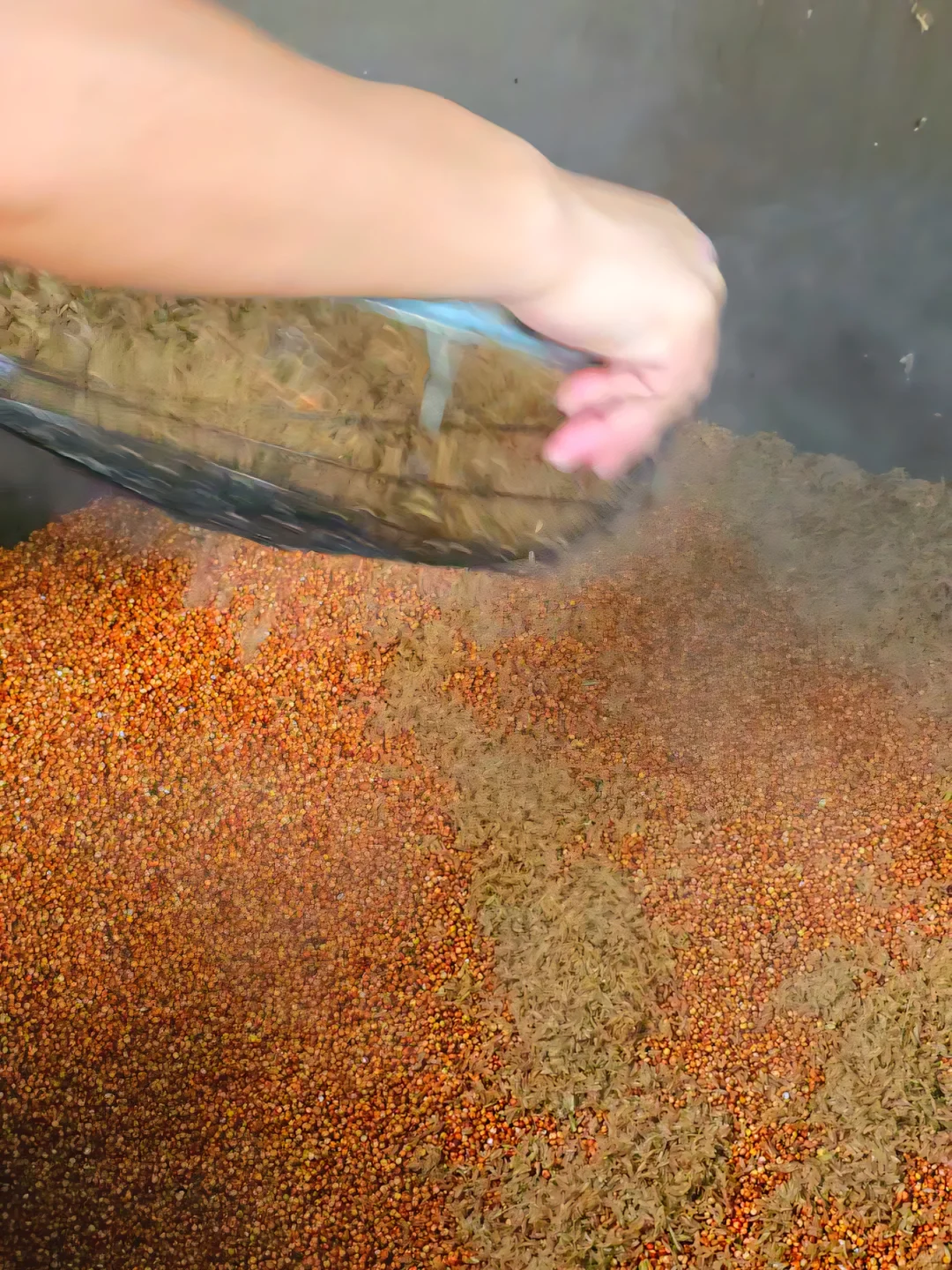 满是勾兑酒的时代,真的没人喝纯粮酒了吗?