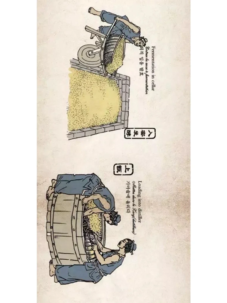 一张图带你领略茅台酒的酿造工艺！