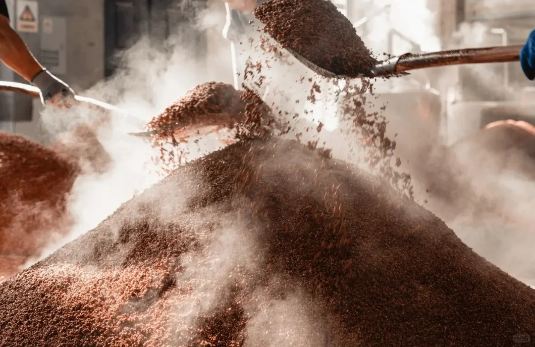 ?揭秘千年酒香背后的传奇故事