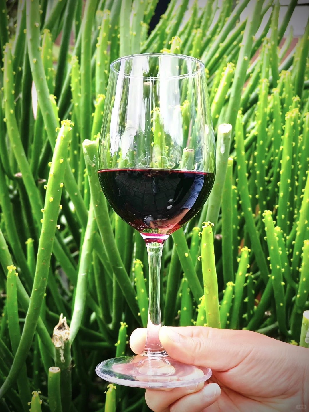 这瓶国产葡萄酒，让我爱上了秋天小酌?