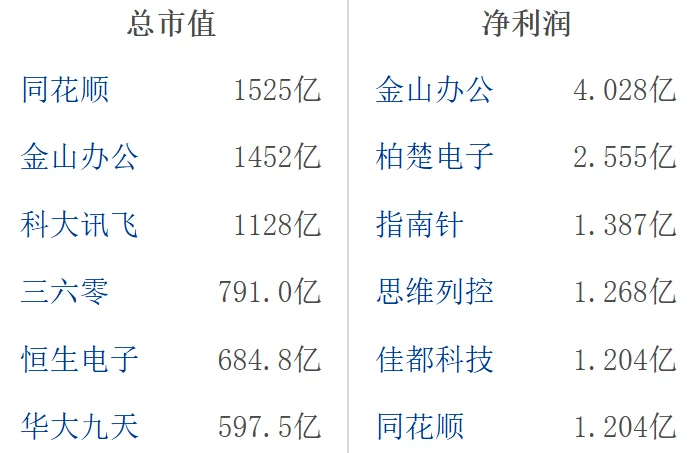 大A软件开发行业龙头