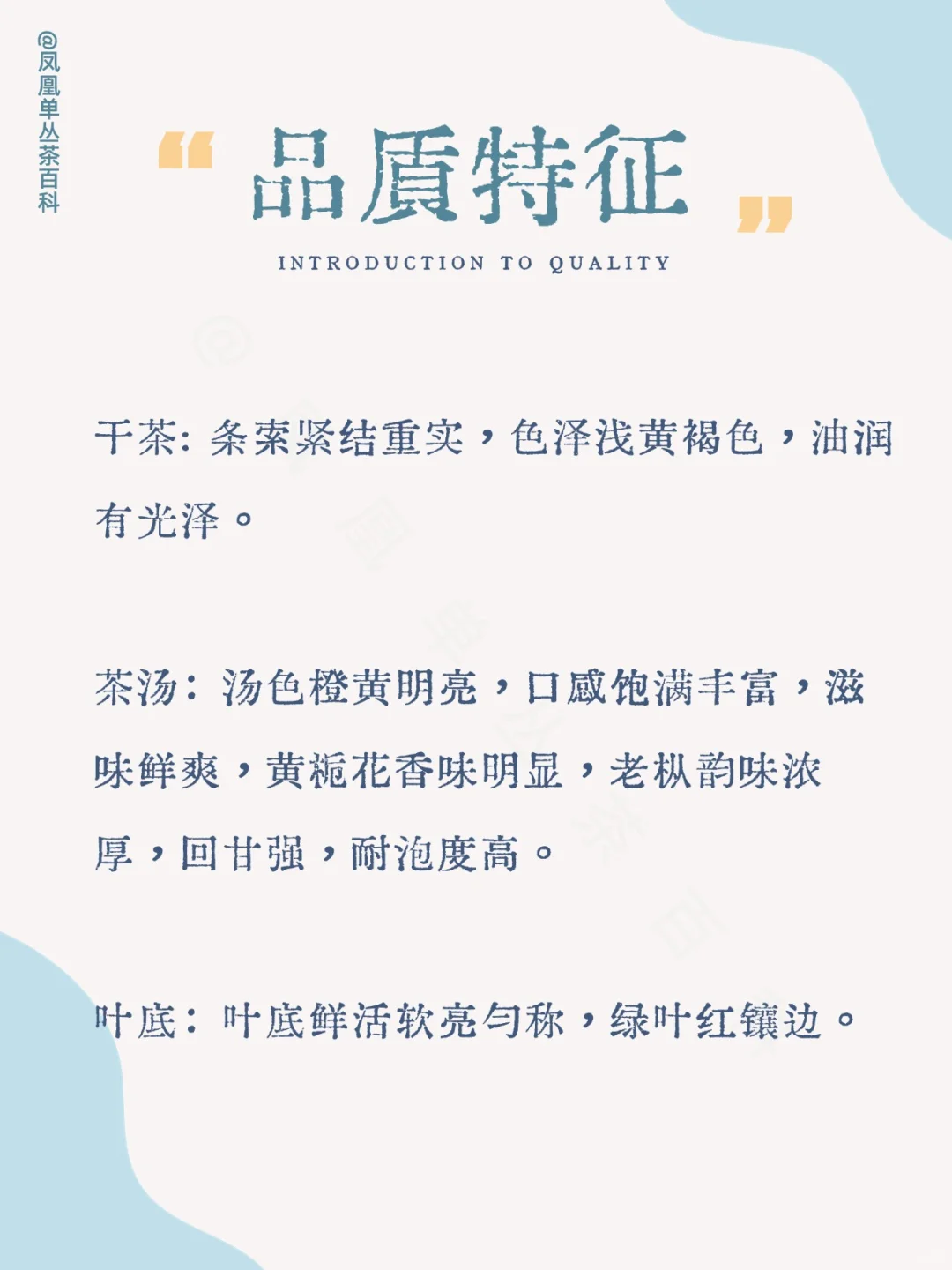 茶知识|黄栀叶单丛，黄栀香型 200多年树龄